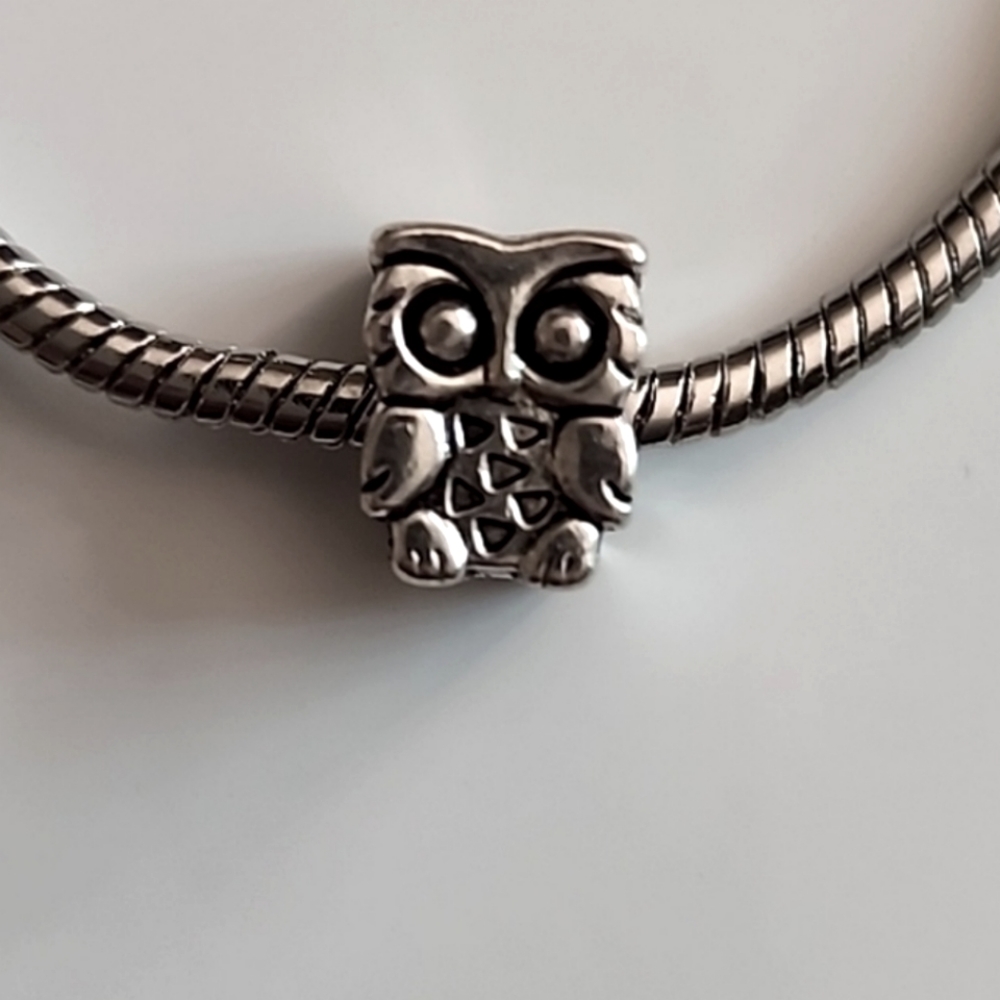 SMART Eyeglass Owl  Bracelet Charm Compatable With Pandora